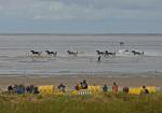 Pferderennen am Strand