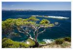 Blick nach Porquerolles