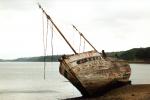 Wrack vor Douarnenez (Bretagne)