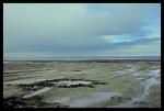 Nordsee Watt...