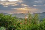 Kibale Forest NP