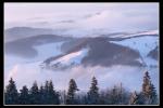 Nebel in der Rhön