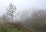 Nebel 2