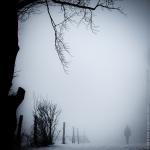 Winternebel 2