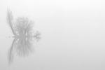 See im Nebel_10_2