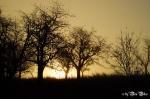 Sonnenaufgang bei Nebel