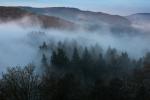 Nebel im Moseltal