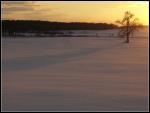 Sonnenuntergang im Schnee