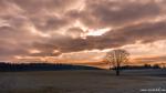 winterlicher Sonnenaufgang im Oberharz