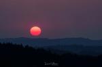 Sonnenuntergang Wildewiese mit Sonnenflecken