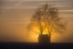 Abendstimmung in der Eifel (1)