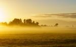 Spätsommer an der Oder