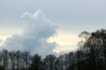 Hasen-Wolke