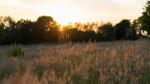 Sonnenuntergang Flensburger Förde