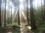 Wald04