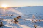 White Sands 1