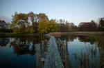 im herbstlichen Abendlicht