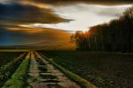 Spaziergang im Feld HDR light