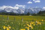 Blick Auf den Karwendel