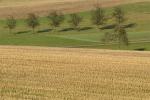 Feld und Wiese 1 mit mehr Konstrast