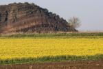 Wartgesberg