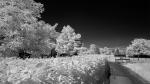 Test 14mm GM - IR