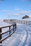 Zaun im Schnee