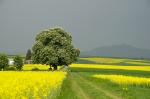 Regen im Anmarsch