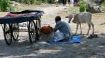 Streets of India VIII