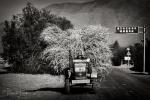 Tibetan Tractor