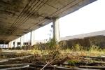 Detroit Packard Plant 11