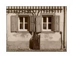 Fensterpaar (Prichsenstadt)