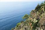 Cinque Terre