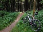 Singletrail I