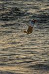 Kitesurfing in Fuerteventura (5)