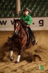 NRHA Futurity 2013