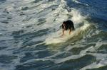 surfing USA