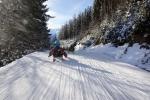 Rodeln im Pinzgau