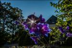 im Garten_2