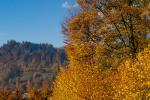 Unser Baum Überblick 2