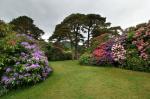 Muckross House 4