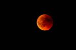 Blood Moon