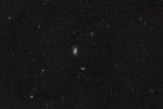 M81 + M82 + NGC3077