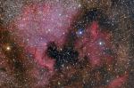 NGC7000 crop