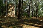 Ruine im Wald 2 (Farbe)