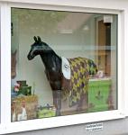 Pferd im Fenster