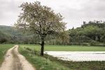 Burgruine Neideck - 1