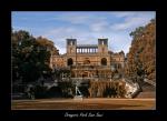 Park Sans Souci, Orangerie