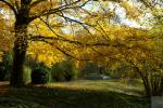 Schloss Rheydt im Herbst