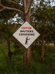 Waiters crossing